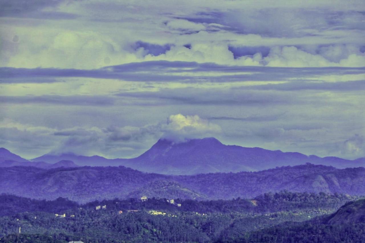 Wild Mist Homestay Munnar Exterior foto